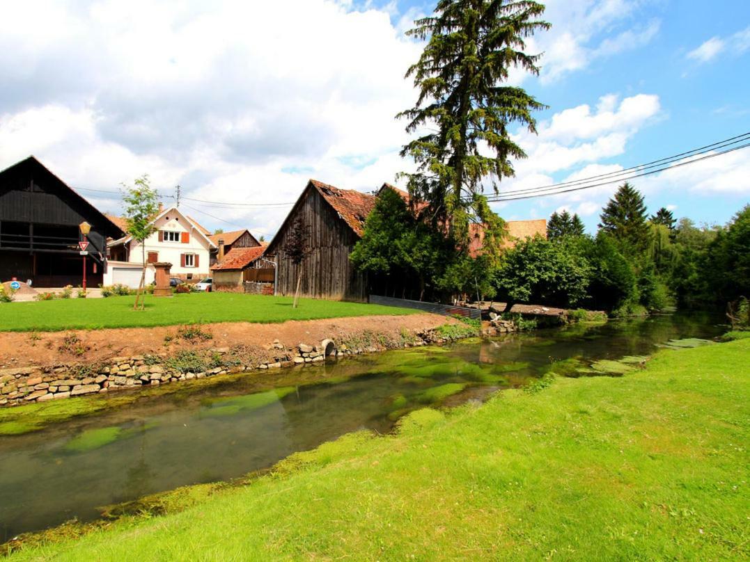 Beaux Lofts Pres D'Europa Park Et Strasbourg Βίλα Obenheim Εξωτερικό φωτογραφία